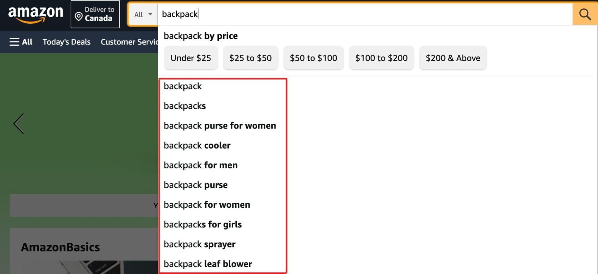 Amazon
autosuggest