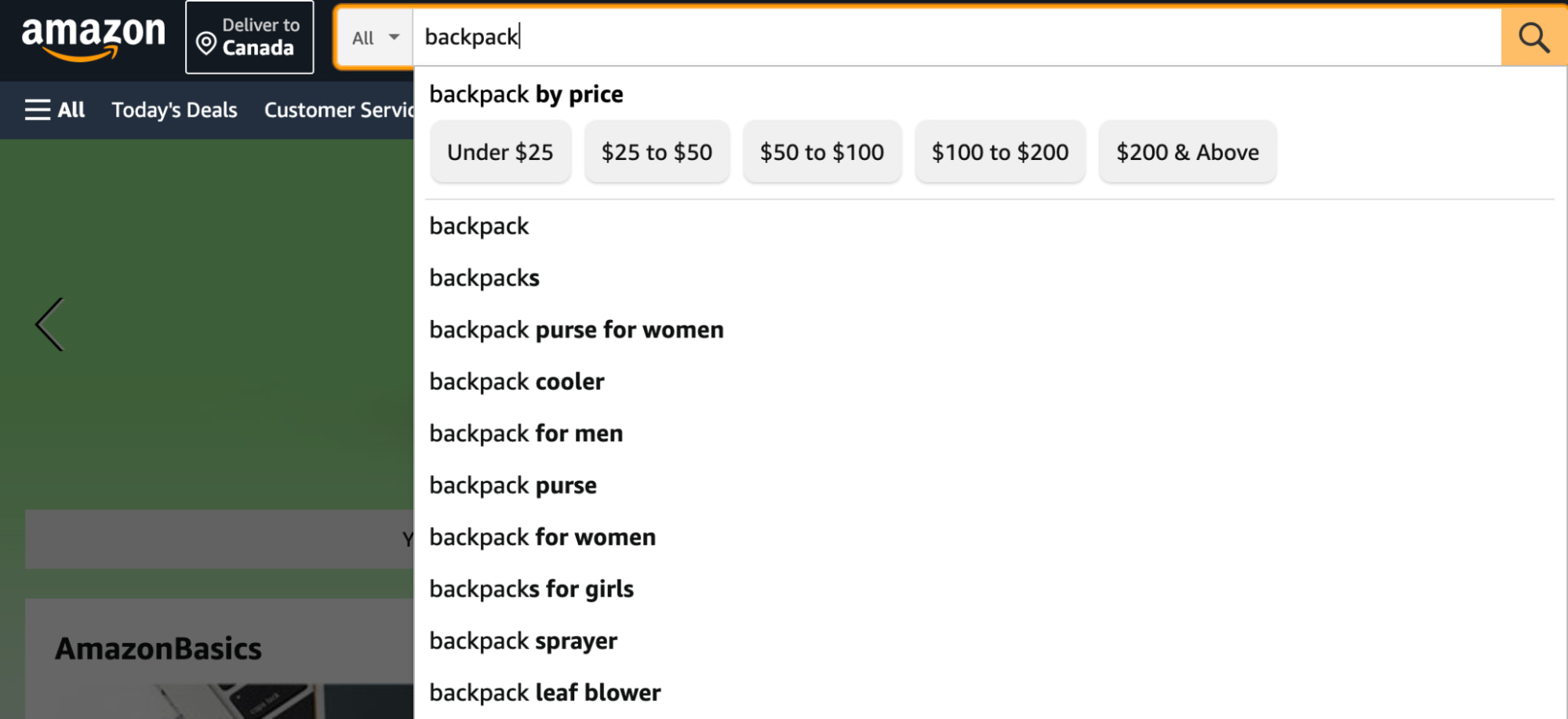 amazon keyword
search