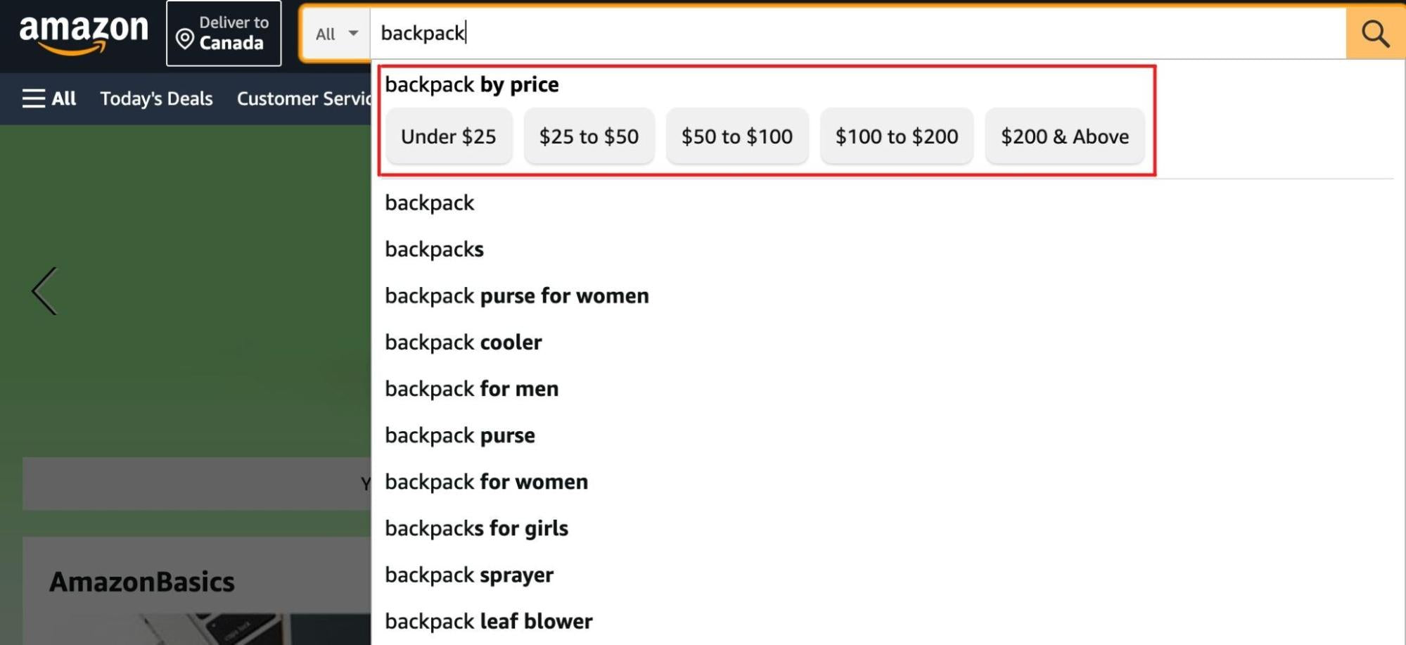 amazon search
results