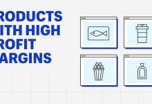 5种高利润率的产品-深圳市元小科技有很公司|一起出海