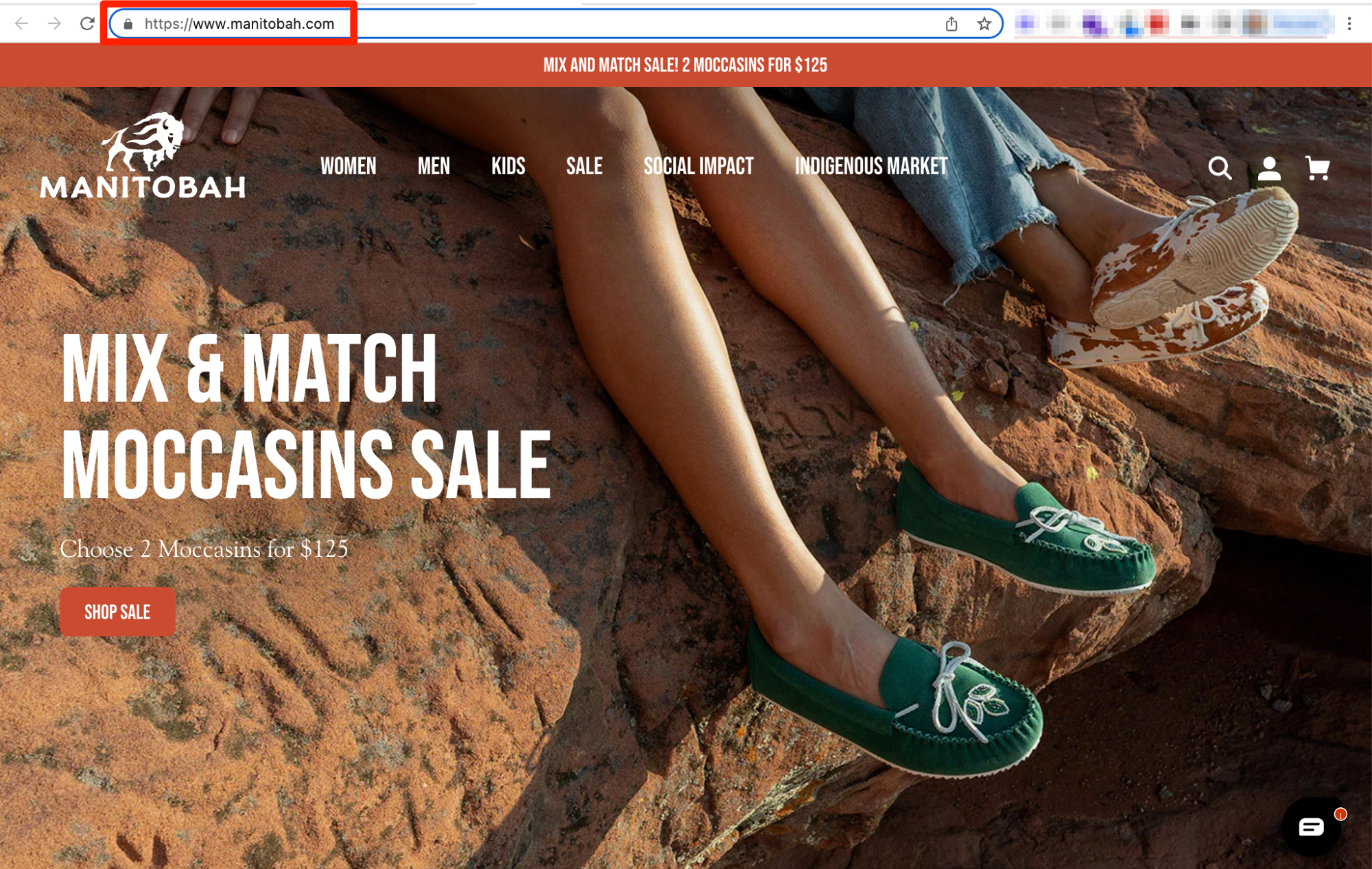 Example of TLS certification display on Shopify ecommerce
store.