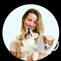 Template
Icon