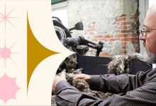 Shopify Capital 如何帮助 Buffalo Wool Co. 实现 BFCM 的蓬勃发展-深圳市元小科技有很公司|一起出海