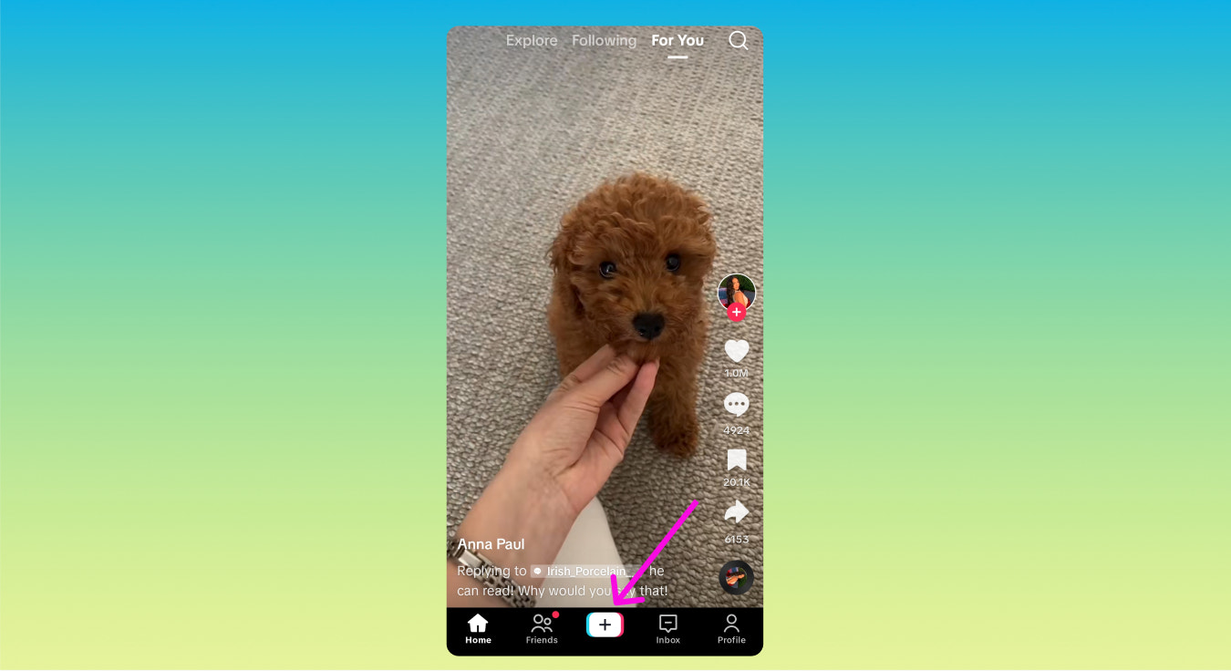 TikTok For You 页面上有一只狗和一个指向加号按钮的箭头